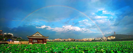 東莞橋頭鎮(zhèn)舉辦第七屆荷花文化藝術(shù)節(jié)